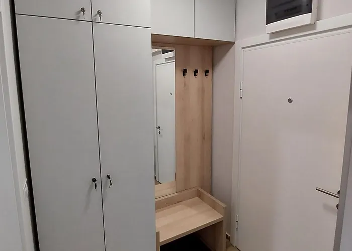 Vera 쿠르셰바츠