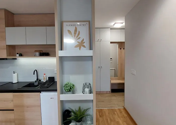 Vera * 쿠르셰바츠