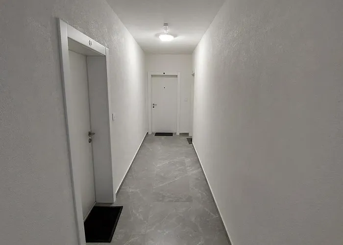 Vera * 쿠르셰바츠