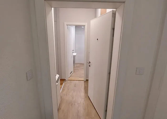 Vera 쿠르셰바츠